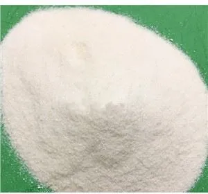 25KG 글루콘산나트륨 포장 기계